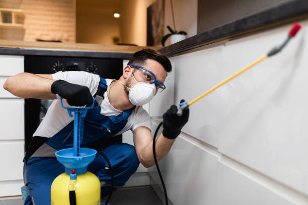 Wasp Removal Services in Highland, CA